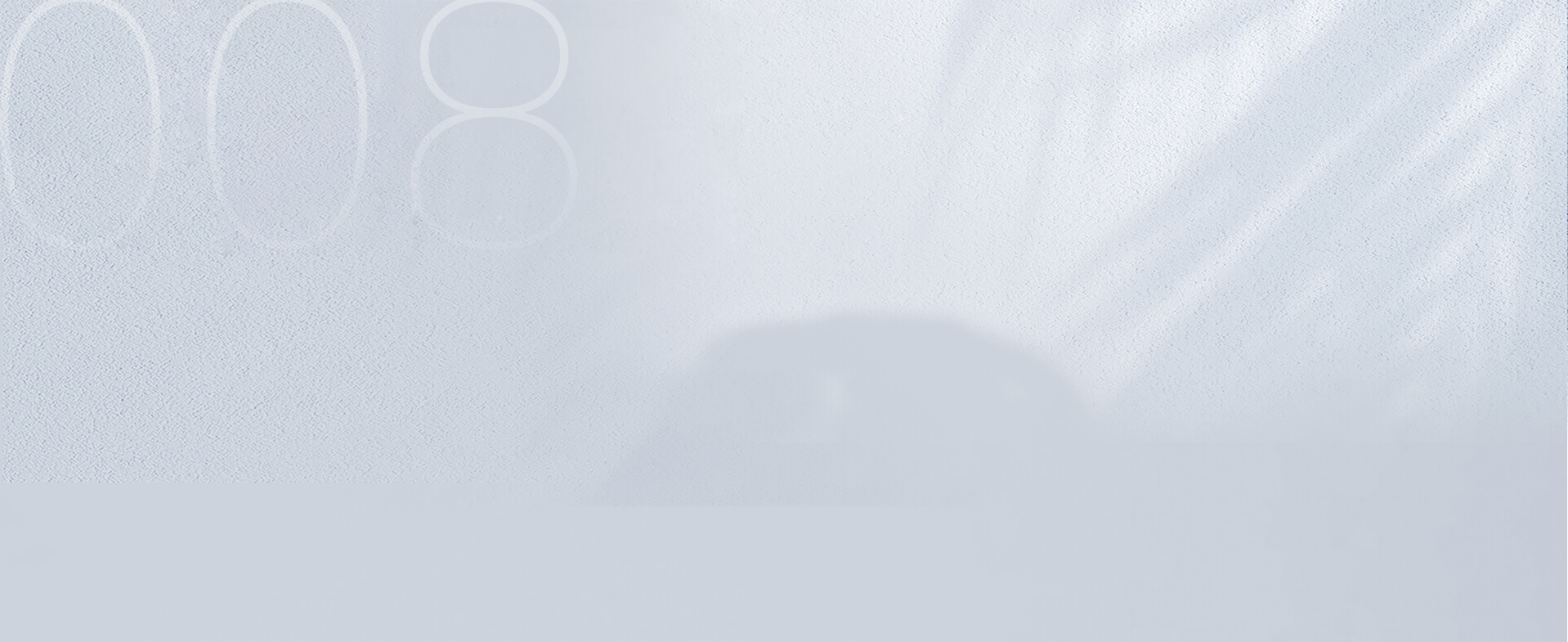 008 — Silver (4)