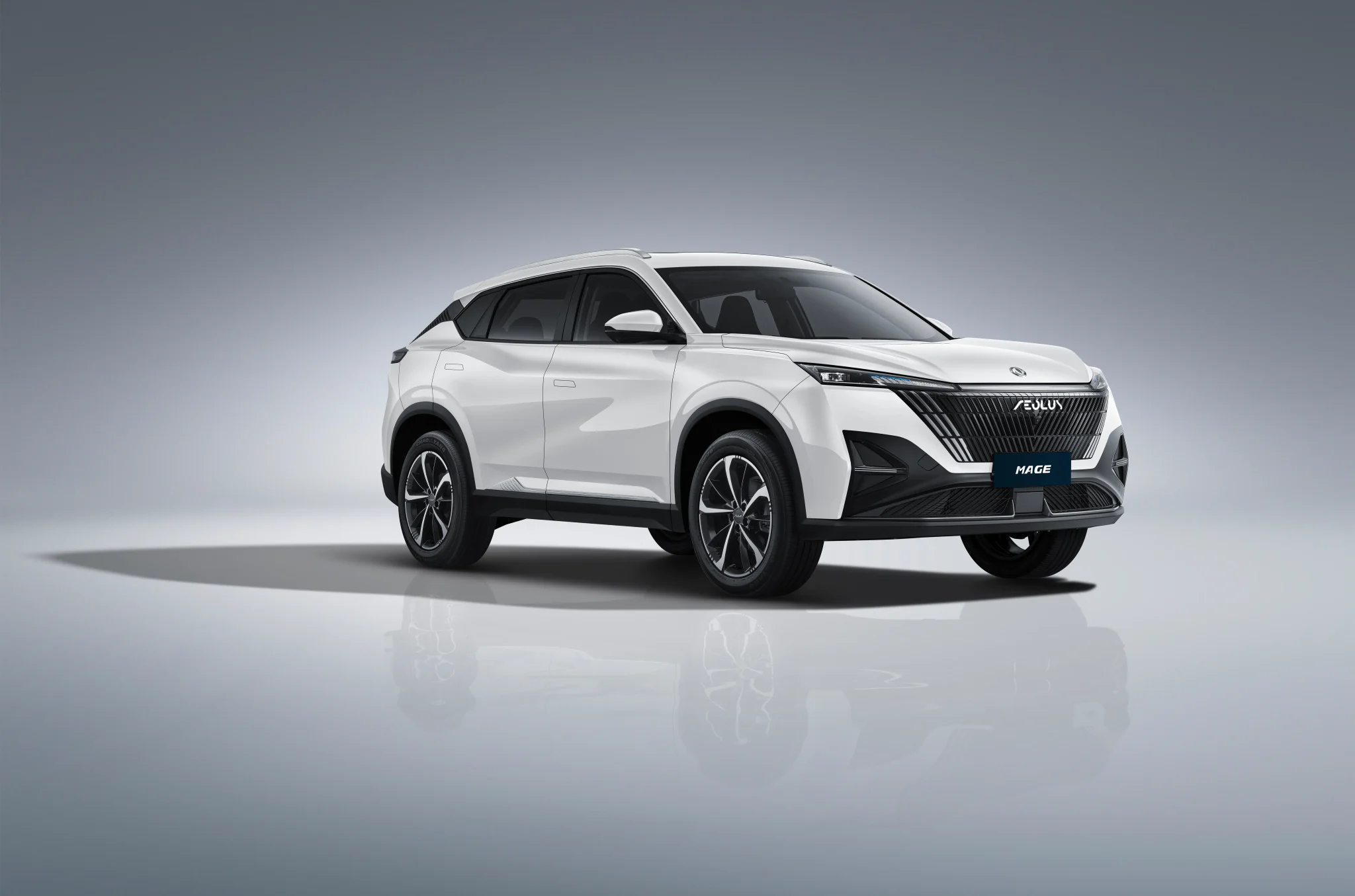 Dongfeng in Egypt