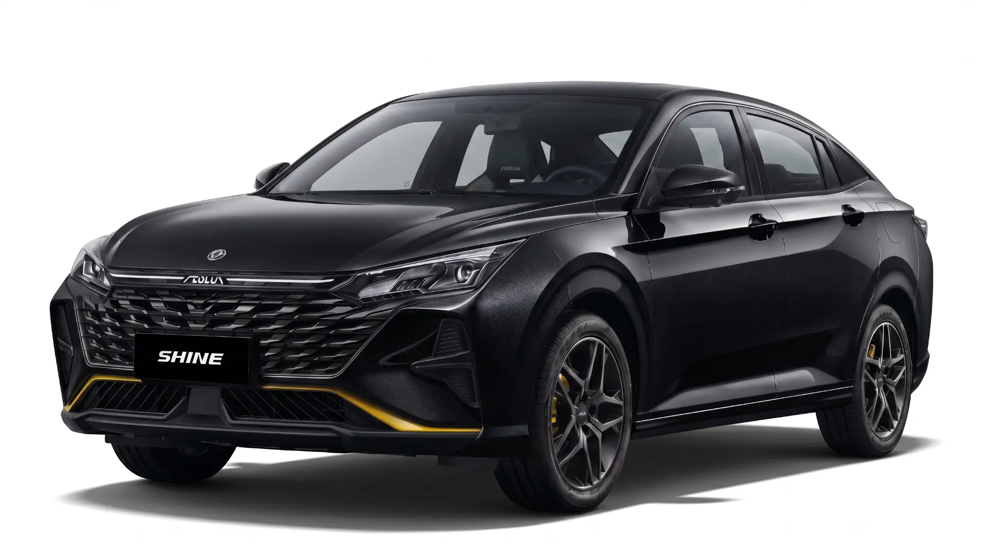 DONGFENG SHINE in Black