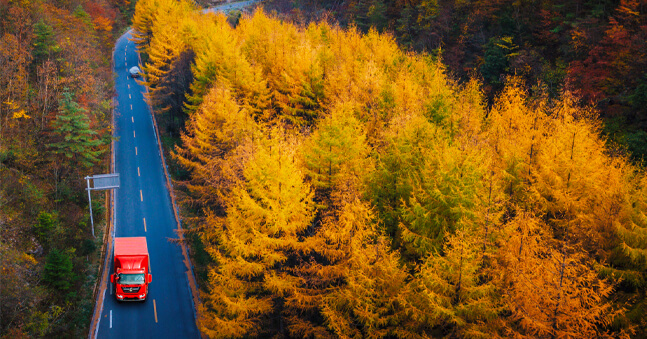 social and technology advancement plan of Dongfeng Motor's social responsibility work