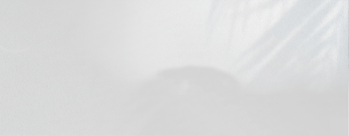 dongfeng background