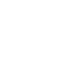 dongfeng logo